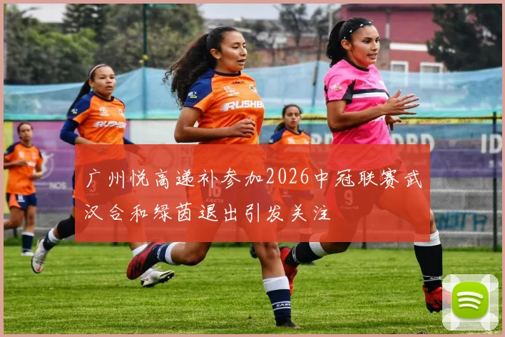 广州悦高递补参加2026中冠联赛武汉合和绿茵退出引发关注