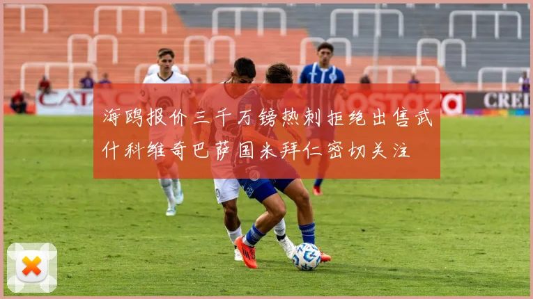 海鸥报价三千万镑热刺拒绝出售武什科维奇巴萨国米拜仁密切关注