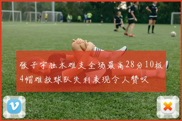 张子宇独木难支全场最高28分10板4帽难救球队失利表现令人赞叹
